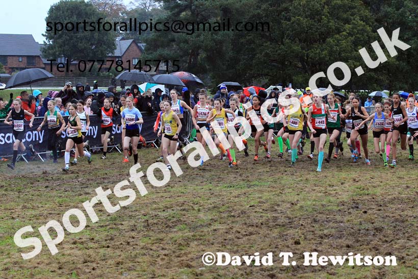 Girls Under-13s 2023 National Cross Country Relays, Berry Hill Park, Mansfield.  Photo: David T. Hewitson/Sports for All Pics